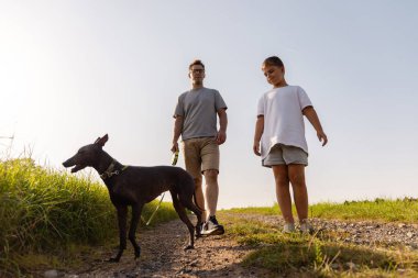 Bir adam ve oğlu yeşil bir arazide toprak bir patikada geziniyorlar. Köpekleri yanlarında yürür ve doğada sıcak bir aile ortamı yaratır..