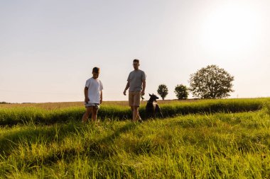 Bir adam ve küçük oğlu yeşil bir alanda köpekleriyle sakin bir yürüyüşe çıkıyorlar. Güneş arka planda parlak bir şekilde parlıyor ve öğleden sonra sıcak bir atmosfer yaratıyor..