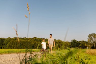 Bir adam ve küçük oğlu, köpeklerinin tasmasını tutarak, çakıllı bir patikada birlikte dolaşırlar. Uzun otlar meltemde sallanıyor açık mavi gökyüzünün altında.