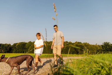 Bir adam ve oğlu, sıcak ve güneşli bir öğleden sonra köpekleriyle yemyeşil bir arazide geziyorlar. Birlikte kaliteli zaman geçirmeyi seviyorlar, kalıcı anılar yaratıyorlar..