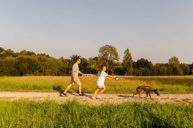 Sıcak gün ışığında, bir adam ve oğlu köpekleriyle birlikte kırsalda kirli bir yolda yürüyorlar. Yeşillik ve huzur dolu manzarayla çevrili açık havada günlerinin tadını çıkarıyorlar..