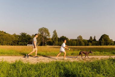 Bir adam ve oğlu güneşli bir günde köpekleriyle sakin bir yürüyüşe çıkıyorlar. Uzun otlar ve ağaçlarla çevrili bir yolda yürürler. Açık havada güzel vakit geçirirler..