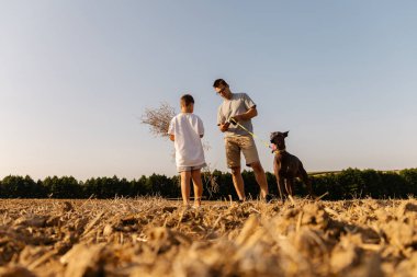 Bir adam ve oğlu, dost canlısı köpekleri eşliğinde açık arazide birlikte dolaşıyorlar. Açık havada eğlenirken güneş parıldıyor..
