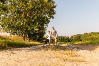 Bir adam ve küçük oğlu kırsalda çakıllı bir yolda köpekleriyle huzurlu bir yürüyüş yapıyorlar. Güneşli bir öğleden sonra, arka planda yeşil ağaçlar var..