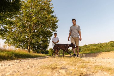 Bir adam ve oğlu yeşil alanlarla çevrili pis bir yolda yürürler, köpeklerini yürüyüşe çıkarırlar. Güneş berrak mavi gökyüzünde ışıl ışıl parlıyor, ılık bir atmosfer yaratıyor..
