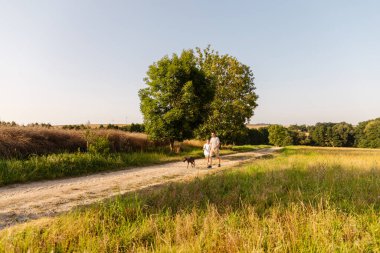 Bir adam ve küçük oğlu, köpekleriyle birlikte kırsalda tozlu bir yolda yürüyorlar. Sıcak güneş onların üzerine doğanın tadını çıkarırken parlıyor..