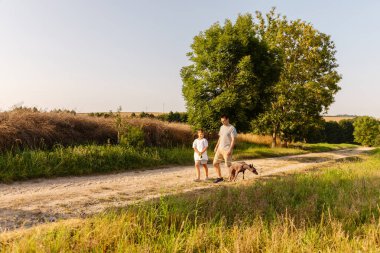 Bir adam ve oğlu, köpeklerini gezdirirken kırsal alanda kirli bir patikada dolaşıyorlar. Güneş batıyor, etraflarındaki çimenli arazilere sıcak bir ışık tutuyor, sakin bir atmosfer yaratıyor..