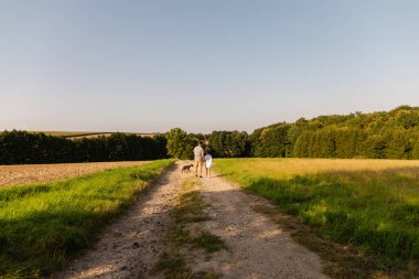 Bir adam ve oğlu güneşli bir günde köpekleriyle pis bir yolda yürüyorlar. Çevrelerinde yeşil tarlalar ve ağaçlar var. Birlikte dışarıda güzel vakit geçiriyorlar..