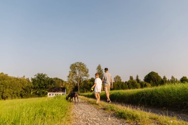 Bir adam ve küçük oğlu verimli yeşilliklerle çevrili, köpekleriyle güneşli havanın tadını çıkararak manzaralı bir yolda yürürler. Rahatlatıcı yürüyüş kırsalda gerçekleşir..