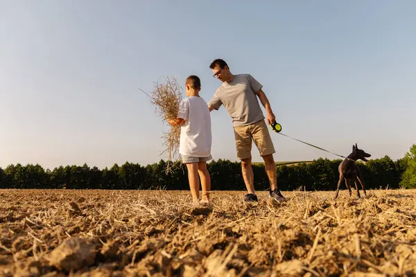 Bir baba ve küçük oğlu güneşli açık bir arazide birlikte yürür, yanlarında köpekleri ile birlikte dal toplarlar. Sahne, aralarında paylaşılan huzurlu bir açık hava anını gösteriyor..