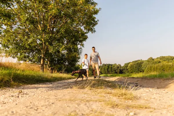 Bir adam ve küçük oğlu kırsalda çakıllı bir yolda köpekleriyle huzurlu bir yürüyüş yapıyorlar. Güneşli bir öğleden sonra, arka planda yeşil ağaçlar var..