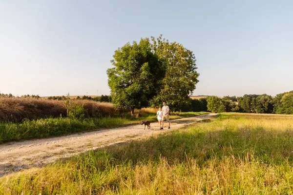 Bir adam ve küçük oğlu, köpekleriyle birlikte kırsalda tozlu bir yolda yürüyorlar. Sıcak güneş onların üzerine doğanın tadını çıkarırken parlıyor..