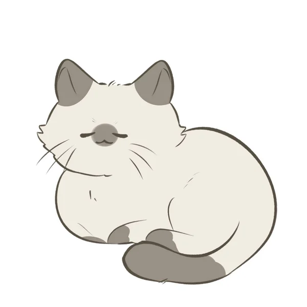 Cute Kot Syjamski Ilustracja Śpi Stylizowanym Stylu Kreskówki — Zdjęcie stockowe