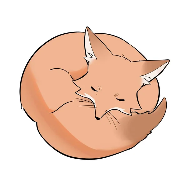 Sleeping Fox with Cartoon and Stylized Style Hand Drawing