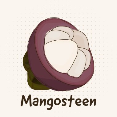 Çizgi çizimi sanat tarzını özetleyen tropikal meyve Mangosteen çizimi.