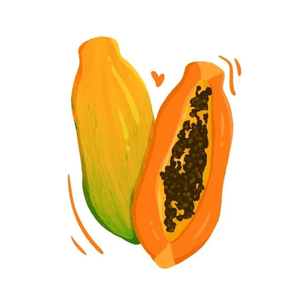 Papaya Intera Papaya Affettata Con Illustrazione Dell Effetto Matita Dei — Foto Stock