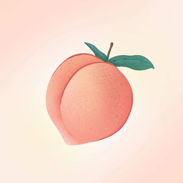 Peach Fruit Illustration Grain Texture Pink Background — Stock Photo, Image