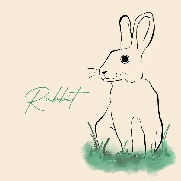 Rabbit on green grass. Hand drawn sketch. outline illustration.