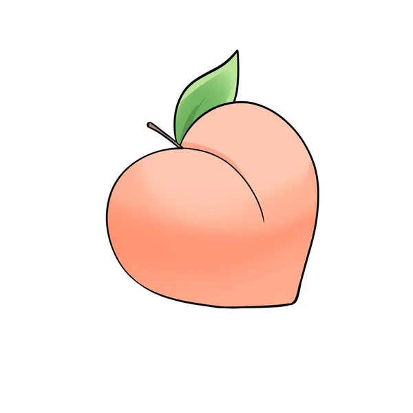 Cute Peach Illustration Hand Drawn with Cartoon style
