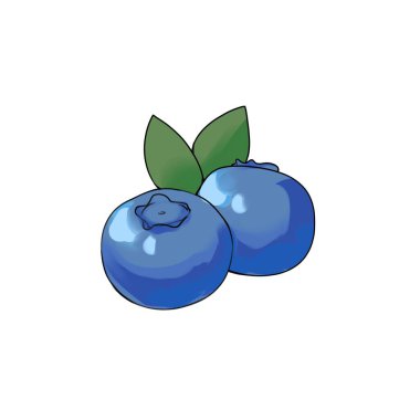 Yapraklı Yaban mersini Çizim Şirinliği