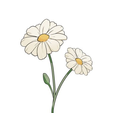 Yaprak Tomurcukları Çiçekli Daisy Çizgi Filmi Sevimli