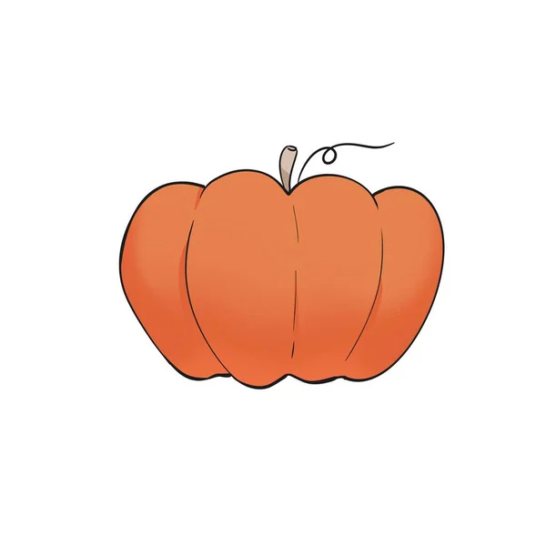 Pumpkin Illustration Cartoon Cute Hand Drawn Style