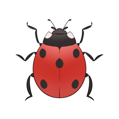 Beyaz arkaplanda uğur böceği tasviri Şirin Basit El Çizimi