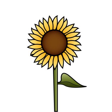 ayçiçeği basit vektör illüstrasyon grafiği