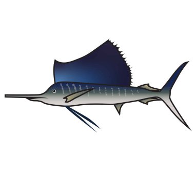 Basit yelken balığı vektör çizimi grafiği