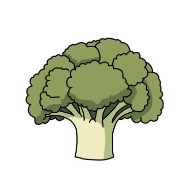Basit brokoli vektör çizimi grafiği