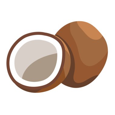 Basit hindistan cevizi vektör çizimi grafiği