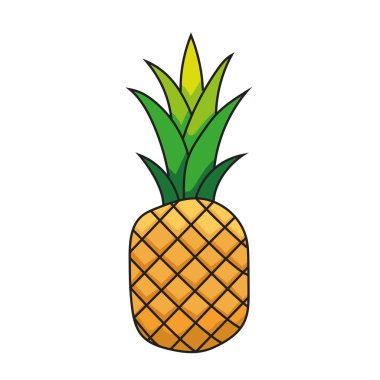 Basit ananas vektör çizimi grafiği