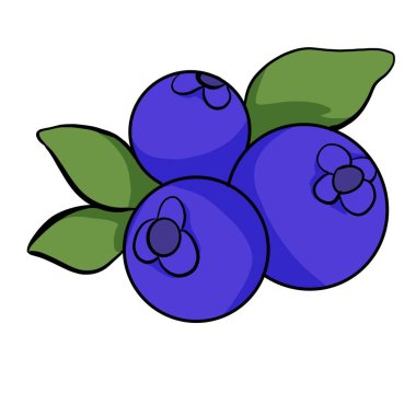 Renkli Meyveli Gıda Basit Vektör İllüstrasyonu