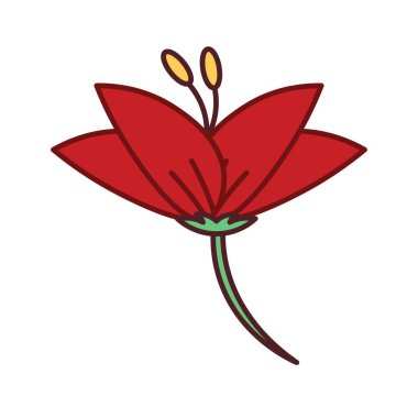 güzel kırmızı çiçek vektör illüstrasyonu