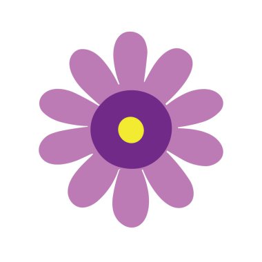 Beyaz arka planda güzel bir çiçek