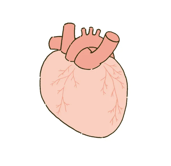 Ilustração Médica Coração Com Simples Toque —  Vetores de Stock