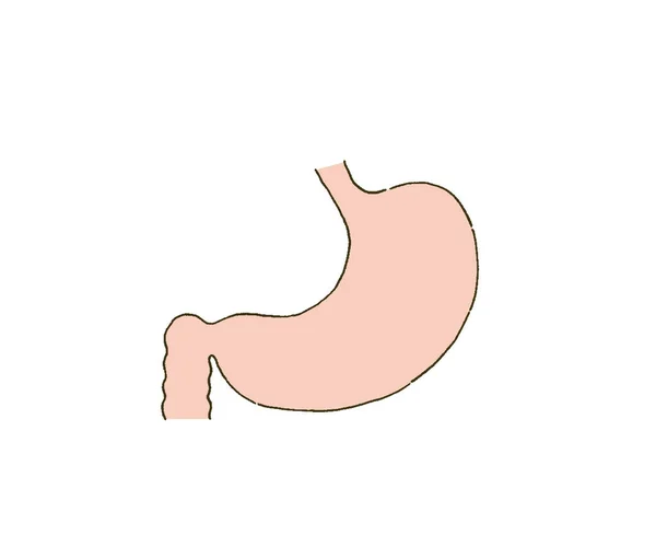Medical Simple Touch Stomach Medical Illustration - Stok Vektor