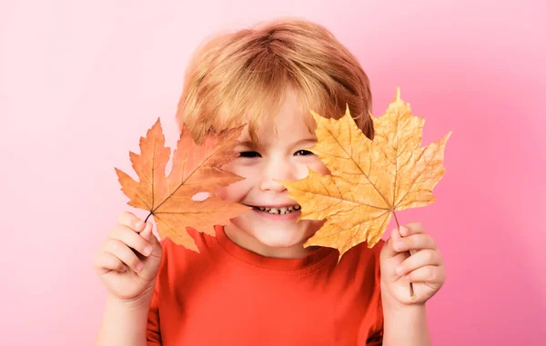 Улыбающийся Мальчик Играющий Кленовыми Листьями Счастливого Детства Осеннее Время — стоковое фото
