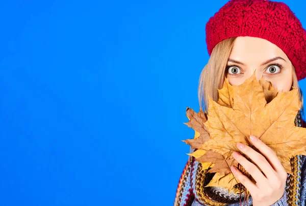 Herbstporträt Einer Überraschten Frau Mit Roter Baskenmütze Die Ihr Gesicht — Stockfoto