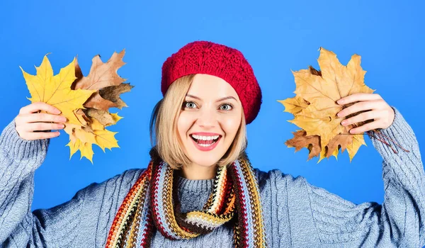 Autumn Model Girl Fall Leaves Warm Clothes Woman Knitted Sweater — Stock Photo, Image