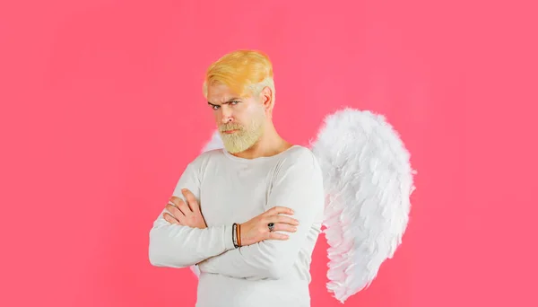 Valentines Day. Bearded man in angel wings with folded hands. Cupid in valentine day. Love concept