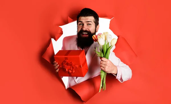 Handsome man with gift box and bouquet of flowers. Businessman with gift and tulips looking through paper hole. Bearded man with spring flowers and gift. Male with present and bouquet of flowers