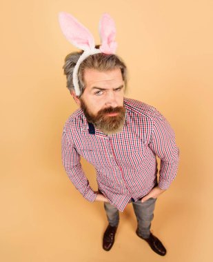 Easter man. Bearded guy in bunny ears preparation for Easter. Bunny man in rabbit ears. Serious bearded guy in bunny ears. Rabbit man on Easter holiday. Easter shopping. Spring holidays