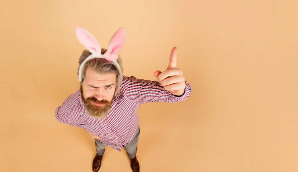 Surprised man in bunny ears pointing with finger on advertising copy space. Easter man in rabbit ears. Easter sale. Discount. Bearded guy advertises or recommends. Rabbit costume party. Easter banner