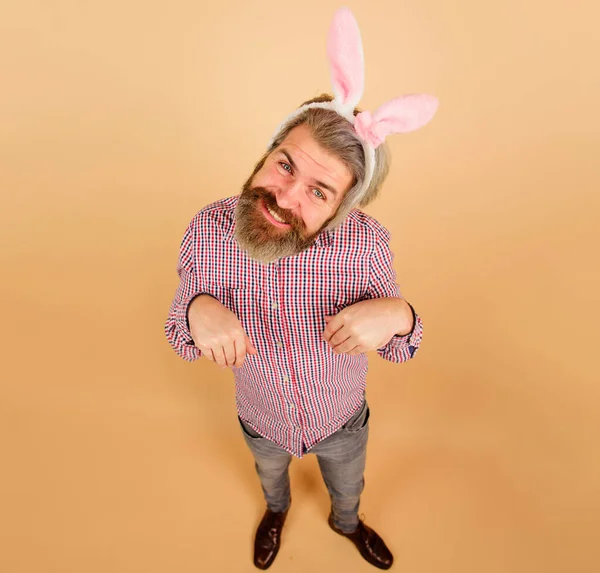 Easter party. Man in rabbit ears preparation for Easter. Funny guy imagine he rabbit. Bearded man in bunny mask. Easter holiday greeting. Bunny rabbit man full height. Celebrating Easter. Springtime