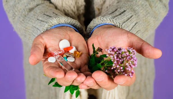 Man hand with pills and herbal plant. Natural herbs. Homeopathy, naturopathy. Alternative herbal medicine. Mans palms hold pills, ampoule, capsules and wild marjoram oregano medical herb. Healthcare