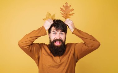 Mutlu sakallı adam, sonbahar yaprakları boynuz gibi başının yanında. Sonbahar sezonunun tadını çıkar. Yaprak düştü. Sonbahar kıyafetleri içinde altın yapraklı gülümseyen adam. Mevsimlik sonbahar modası. Erkek modası. Sonbahar satışları