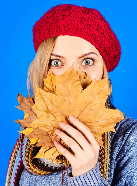Surprised Girl Hides Face Yellow Leaves Beautiful Girl Knitted Beret — Stock Photo, Image