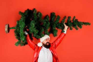 Noel Baba şapkalı mutlu sakallı adam ve Noel ağacı. Kırmızı ceketli, Noel ağacı olan neşeli bir adam. Üzerinde çam ağacı olan beyaz gömlekli bir iş adamı. Kırmızı ceketli gülen adam yeni yıl partisine hazırlanıyor.