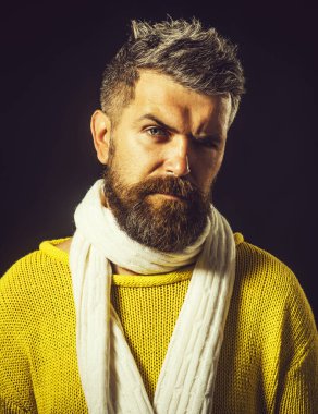 Sakallı, bıyıklı, sarı kazaklı ve beyaz atkılı ciddi bir adamın yakın plan portresi. Erkek sonbahar-kış modası. Yakışıklı, sakallı, şık saç stili, şık, kalın elbiseli bir adam.